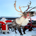 christmas-reindeer-wallpapers-2-1024x768
