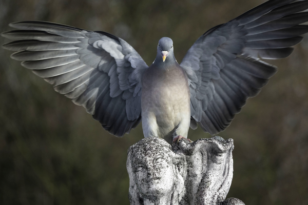 20180915_IGP714_Antibes_Straatmuzikanten_72_oma