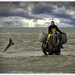 20130417_IGP9547_Oostduinkerke_Garnalenvisser te paard in zee 2_7
