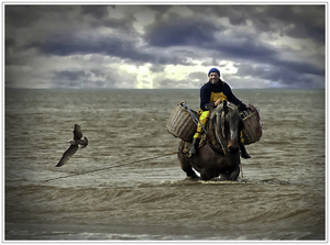 20130417_IGP9547_Oostduinkerke_Garnalenvisser te paard in zee 2_7