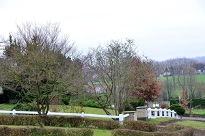 DSC_0489