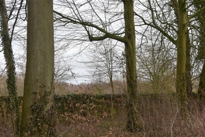 DSC_6007