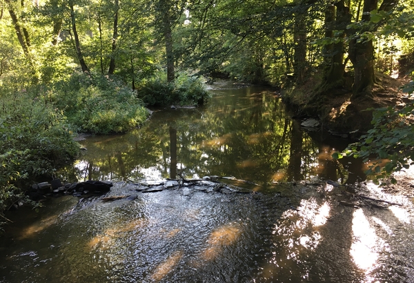 8. Houffalize, op de wandeling