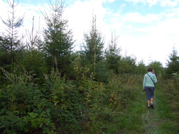 15. Houffalize, op de wandeling