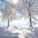 016a1093ba19d8d14d50dd46dc8425bc--winter-tree-beautiful-view