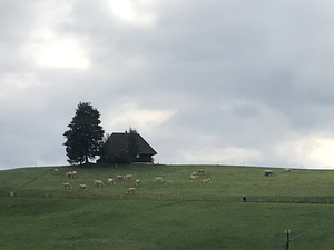 Eggiwil, Zwitserland