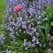IMG_20180425_113854