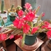IMG_20180509_164858