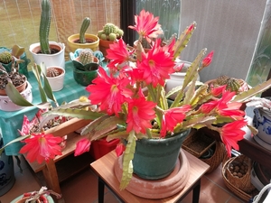 IMG_20180509_164858