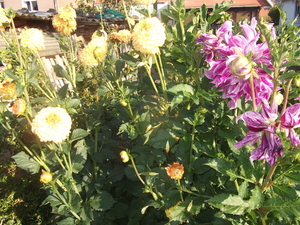 30 AUG 2013 (3)