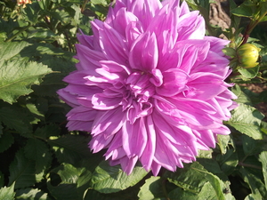 30 AUG 2013 (1)
