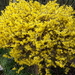 20150408_090331