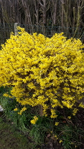 20150408_090331