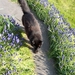 20150409_173736