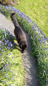 20150409_173736