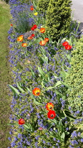 20150421_151334