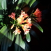 20150424_091355