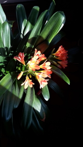 20150424_091355