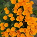 20150523_132320