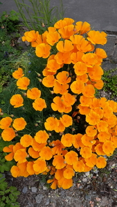20150523_132320