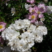 20160610_131053