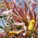 20160610_131140
