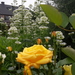 20160611_121315