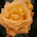 20160611_121325