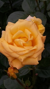 20160611_121325