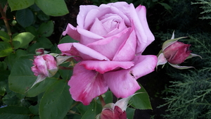 20160615_201224