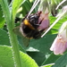 20160728_165052