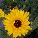 20161103_164445
