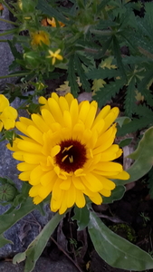 20161103_164445