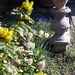 20170403_163015