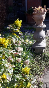 20170403_163015