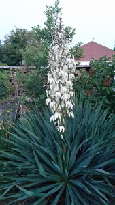 20170614_222224