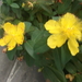 DSCF2518