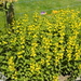 Zomer 2014 (16)