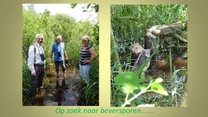 001 Op zoek naar beversporen (WD)