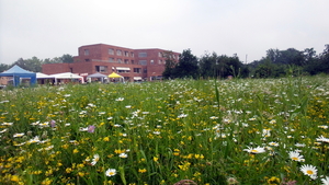 20160605_101745