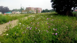 20160605_101926