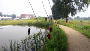 20160605_102522
