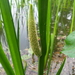 20160605_102638