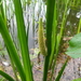 20160605_102643