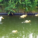20160605_103356