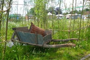 Kruiwagen van vovo (Debbie DAMS)