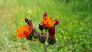 20160608_145208