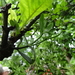 DSC06645