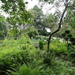 DSC06647
