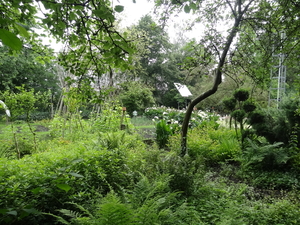 DSC06647